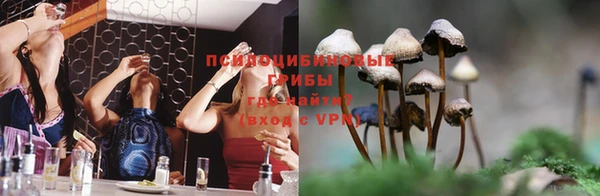 сатива Армянск
