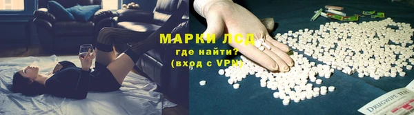 сатива Армянск