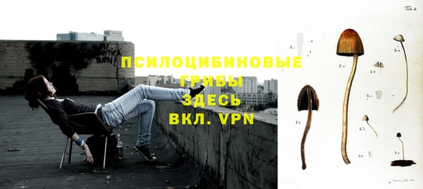 сатива Армянск