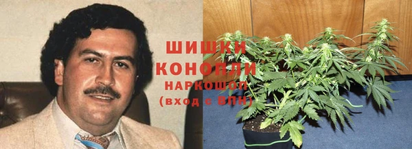 сатива Армянск