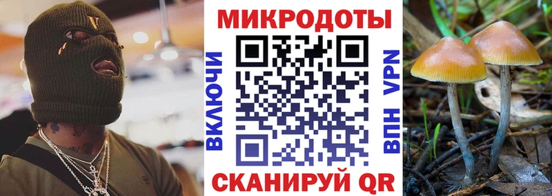 наркота  Нефтекумск  МЕГА вход  Псилоцибиновые грибы GOLDEN TEACHER 
