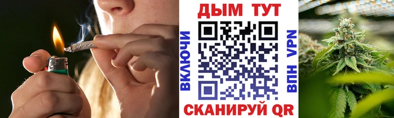 Конопля индика  Нефтекумск 